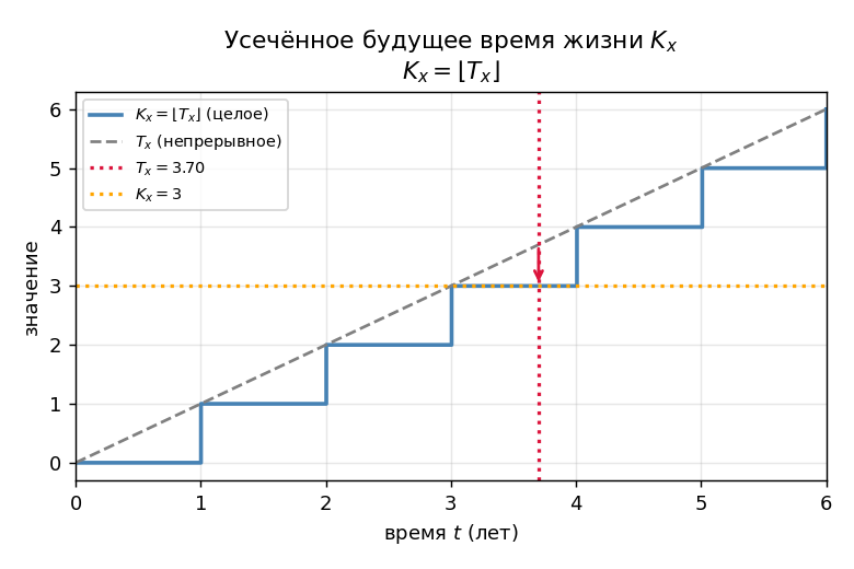Рисуем числовую ось времени от $x$; точка $T_x$ где-то между 28 и 29; стрелка вниз на целое 28 — это $K_x$. Покрутить па