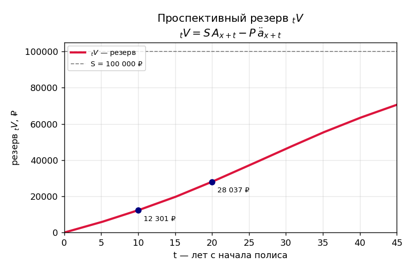 Рисуем: кривую резерва ${}_tV$ по горизонтали $t$ (лет с начала полиса). Старт почти из нуля при $t=0$, дальше — плавный