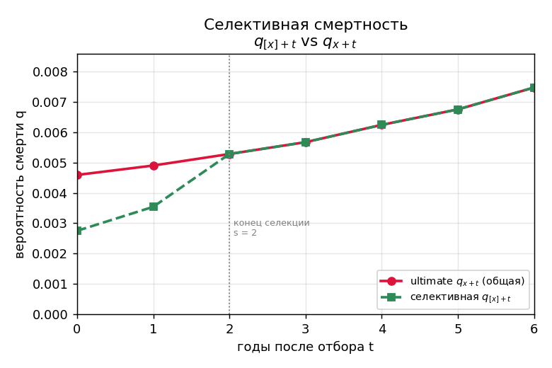 Рисуем: горизонталь — годы после отбора $t$, вертикаль — вероятность смерти $q$; две линии — селективная $q_{[50]+t}$ (с